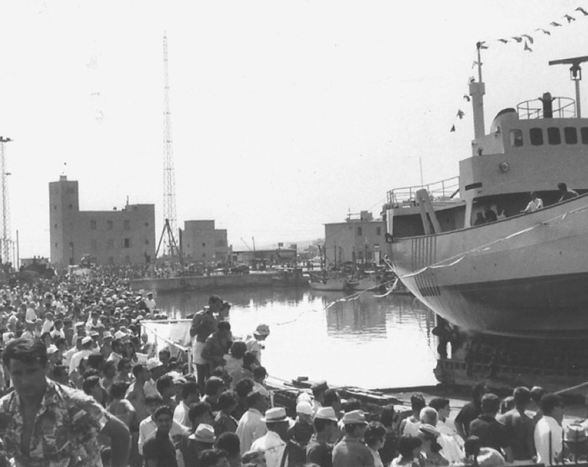 Immagine 2026-02-03 131341