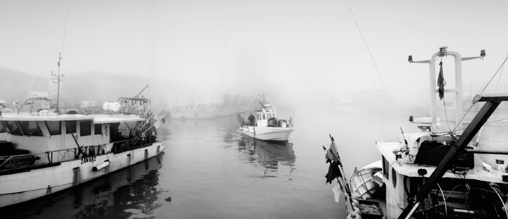 Immagine 2026-02-03 144229